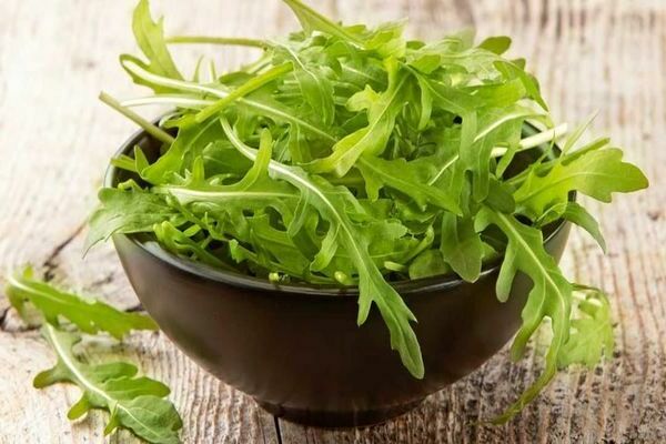 arugula para sa taglamig