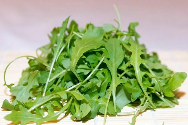 Rucola für den Winter wie man spart