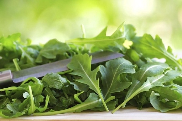 arugula preparation for the winter