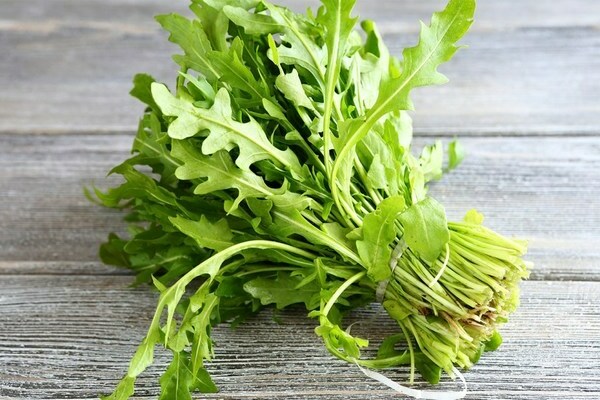 Rucola-Lagerung für den Winter