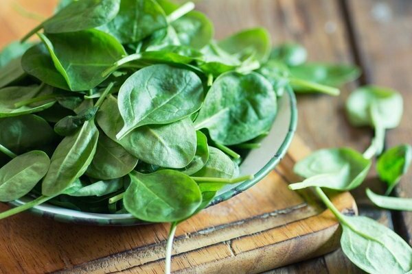 spinach cultivation