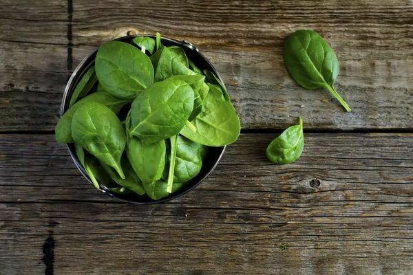 spinach cultivation and care