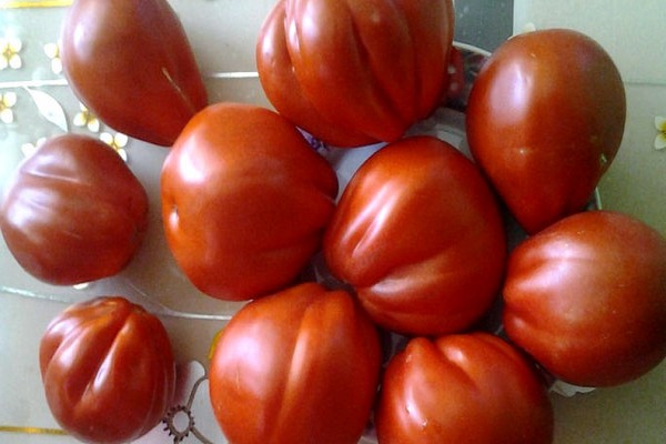 tomaten honderd pond foto