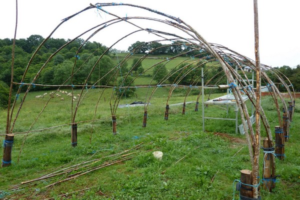 greenhouse + from a pipe + do it yourself