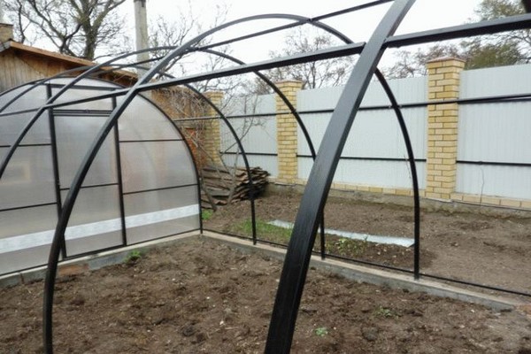 greenhouse + polycarbonate + gawin ito sa iyong sarili