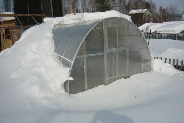 mga greenhouse + gawin ito sa iyong sarili larawan