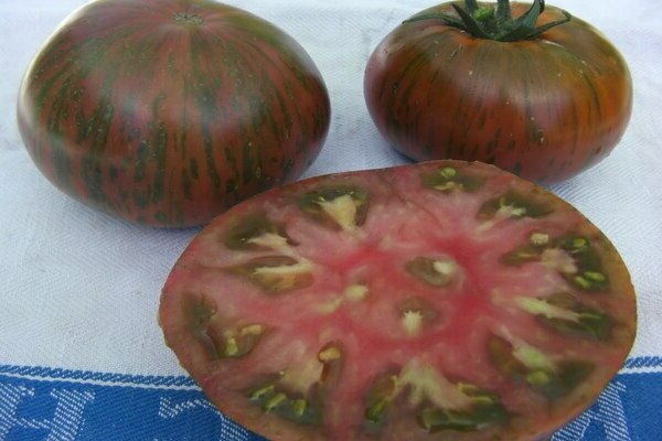 tomato variety chocolate