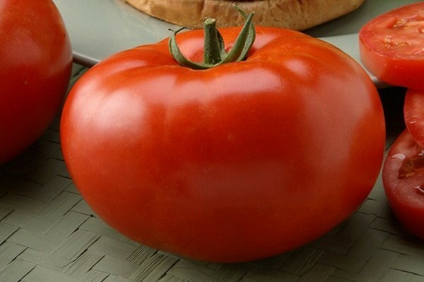 Tomatensorte Rindfleisch