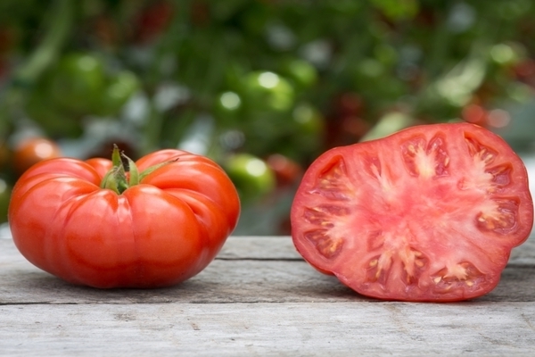 Tomatensorte Rindfleisch