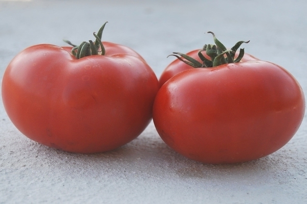 Tomate Demidov