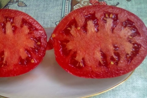 tomato cardinal