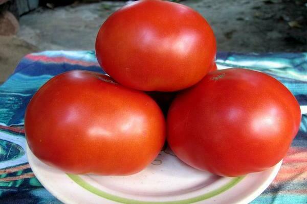 tomate Rouge rouge