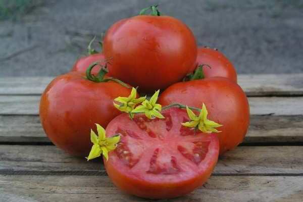 Mahitos Tomate