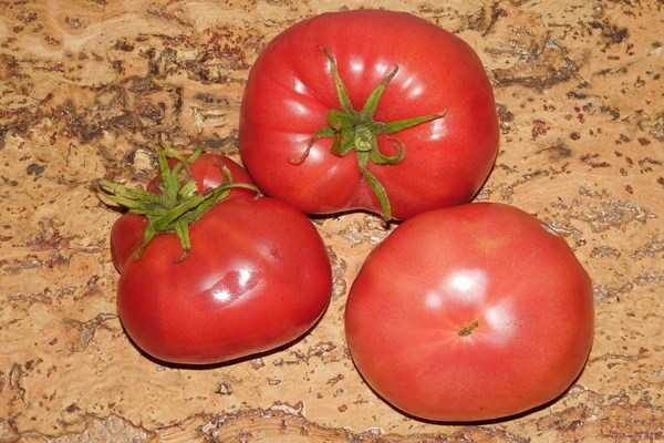 Tomatenhonig