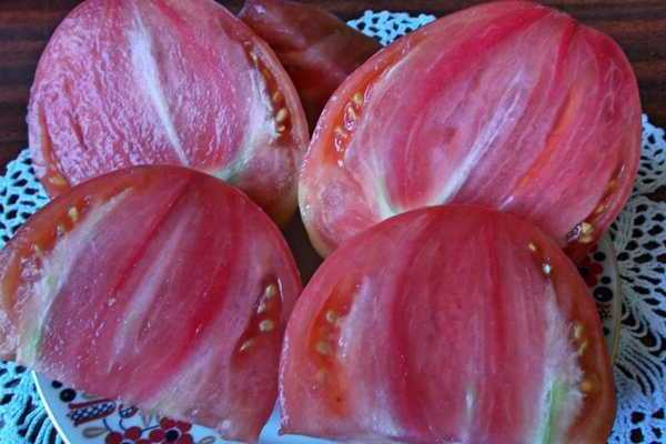 eagle beak tomato mga larawan ng pagsusuri