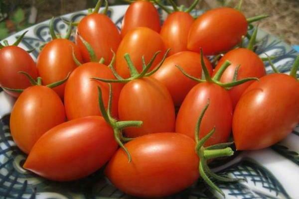 Tomaten Flamme