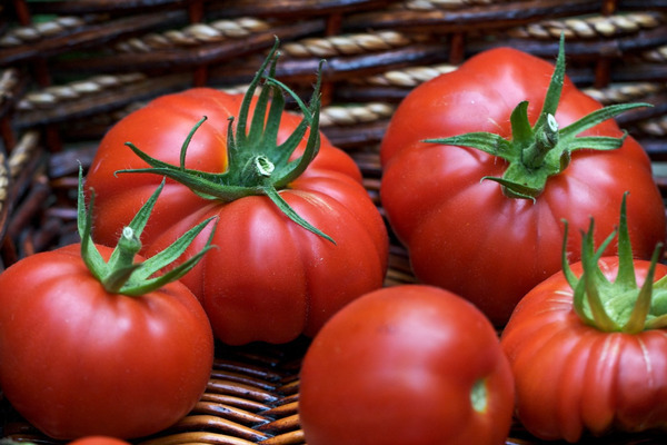 tomatenbauch khata bewertungen foto