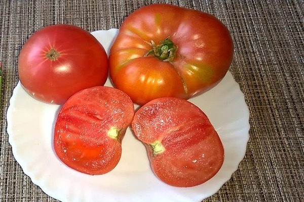 pink tomatoes