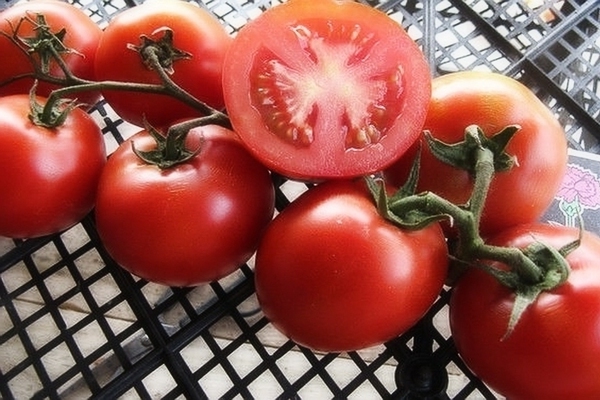 Tomaten Rätsel