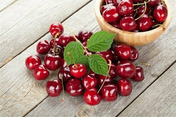 cherry variety Zhukovskaya