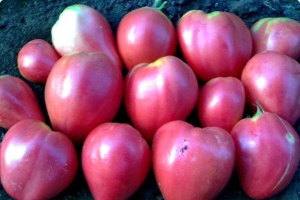 tomato cow heart