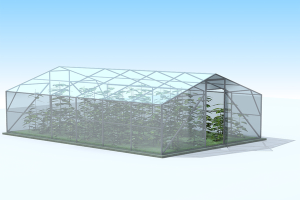 Greenhouse sa buong taon