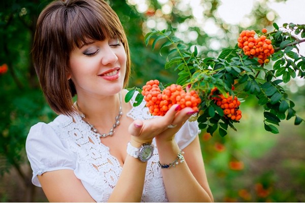 Choosing a rowan variety