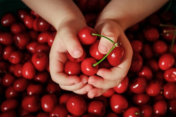 Cherry Subbotinskaya litrato