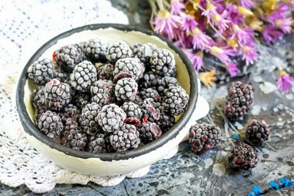 Beschreibung der Brombeer-Cherokee-Sorte